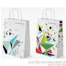 精美彩印纸袋的市场概览 价格、批发与厂家选择